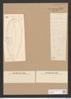 Surirella sp. (de-Toni-Nr.: Genus 53, Species 2236 ?) Zeichnungen Sammlung Grunow Nr. 4818 (NHMW-BOT-W0372974)